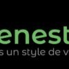 RESTAURANT FENESTRA